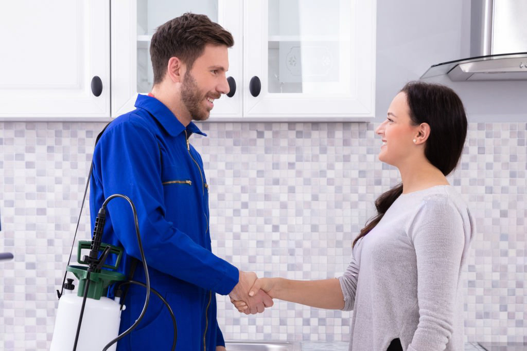 Licensed pest control technician at work